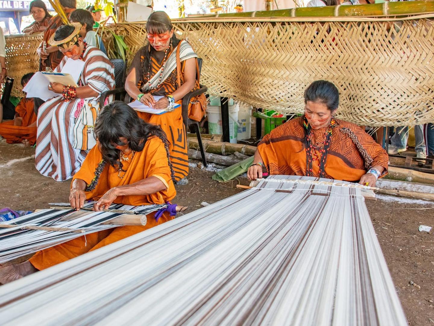 Selva de Satipo y comunidad nativa